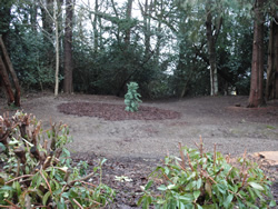 Planting to Commemorate Sir William Gibson-Craig at Heriot Watt University