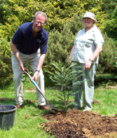 Botanic find of century planted by Garden's Member at the Sir Harold Hillier Gardens