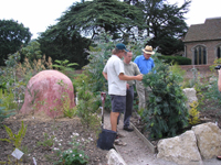 Dinosaur Tree helping to Save Garden from Extinction