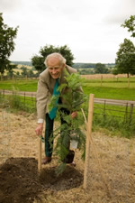SIR SIMON BOWES LYON KVCO PLANTS WOLLEMI PINE TO CELEBRATE 20 YEARS ASSOCIATION WITH HERTFORDSHIRE CHARITY
