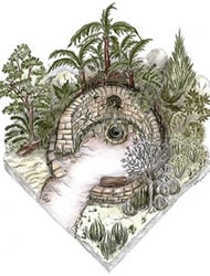 Wollemi Pine to feature in The Stephen Hawking Garden for Motor Neurone Disease at Chelsea 2010