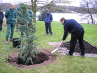 Trentham To Have One Of World's Oldest And Rarest Trees