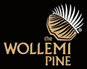 THE WOLLEMI PINE